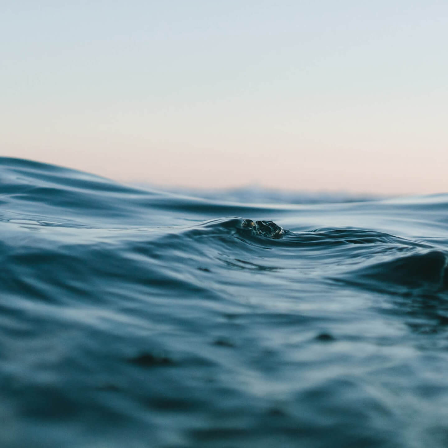 services-rehabilitation-planning-and-assessment